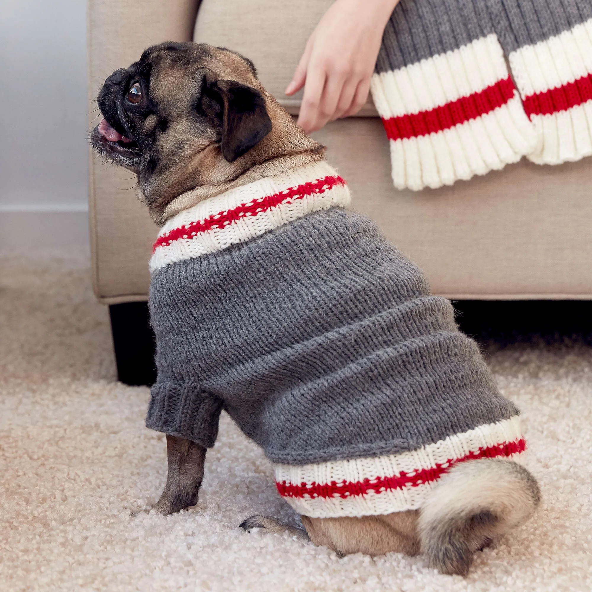 Bernat Knit Work Sock Dog Coat