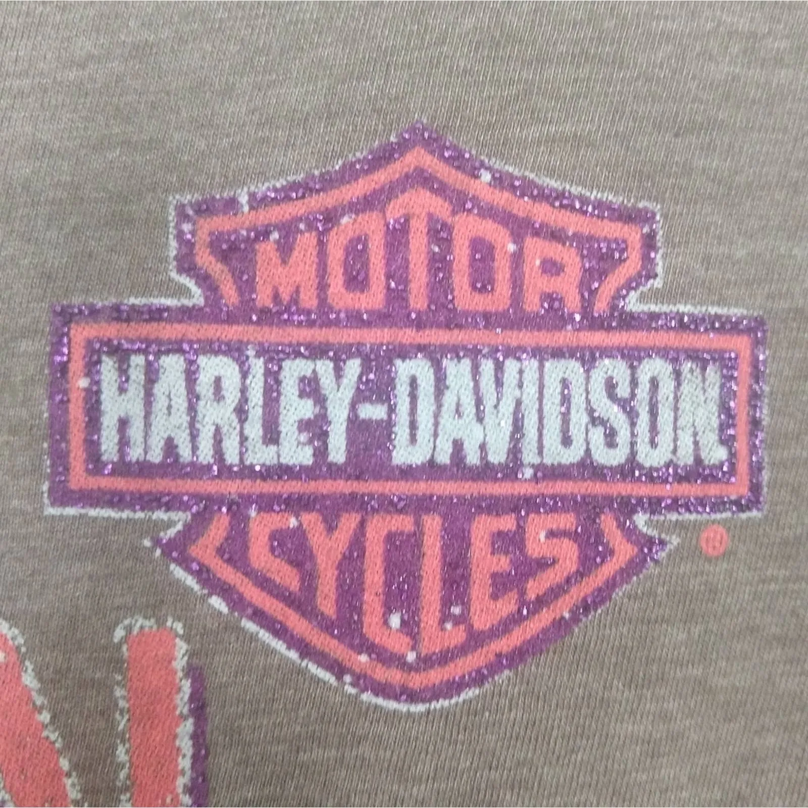 NWOT Harley Davidson V Neck Long Sleeve Top L