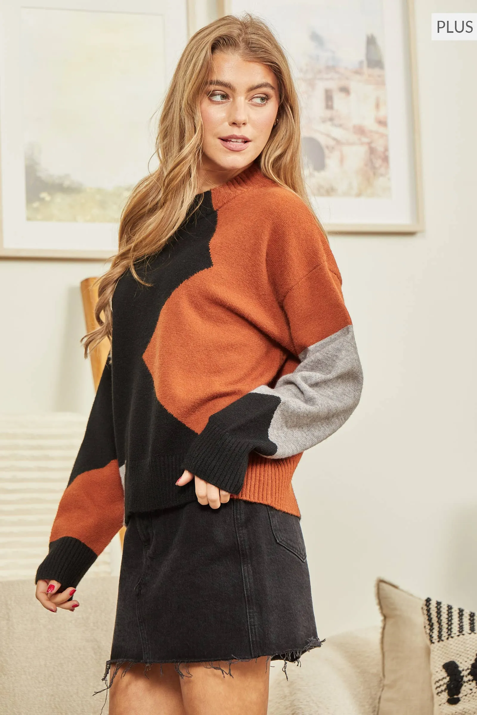 PLUS SIZE Colorblock Sweater BLACK MOCHA