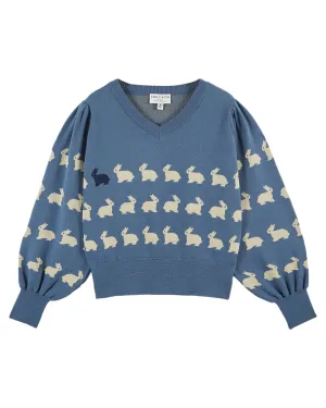 Pullovers Lapin