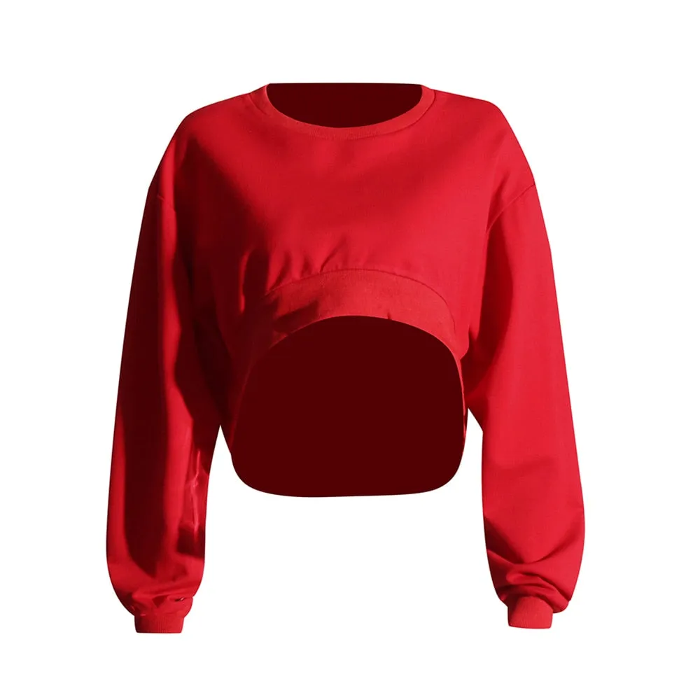 Solid Minimalist Asymmetrical Sweatshirts For Women Round Neck Long Sleeve Loose Chic Sweatshirt Female Clothing